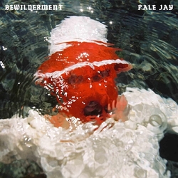 Pale Jay Bewilderment VINYL LP