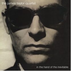 James Taylor In The Hand Of The Inevitable 2 VINYL LP