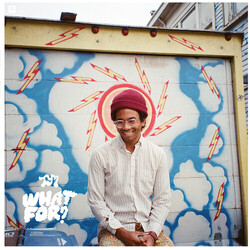 Toro Y Moi What For VINYL LP