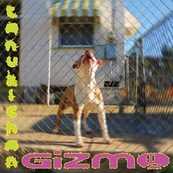 Tanukichan Gizmo VINYL LP