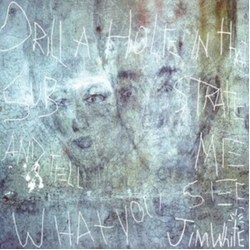 Jim White Drill A Hole In That Substrate & Tell Me What You See 2 VINYL LP