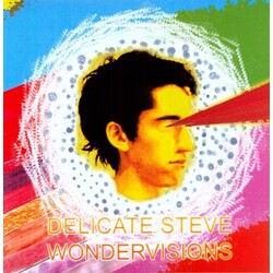 Delicate Steve Wondervisions Vinyl LP