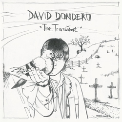 David Dondero Transient VINYL LP