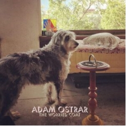 Adam Ostrar Worried Coat VINYL LP