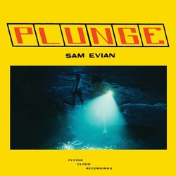 Sam Evian Plunge VINYL LP