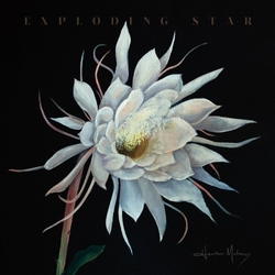 Heather Maloney Exploding Star VINYL LP