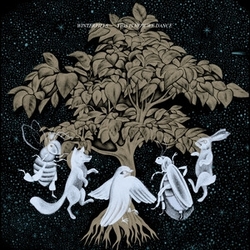 Winterpills This Is How We Dance VINYL LP