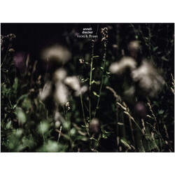 Anneli Drecker Rocks & Straws (LP/Cd) Vinyl LP