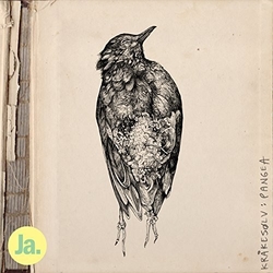 Krakesolv Pangea VINYL LP