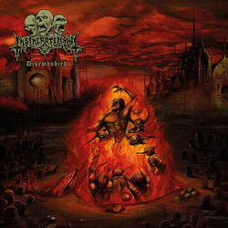 Insineratehymn Disembodied VINYL LP
