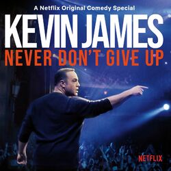 Kevin James Never Don'T Give Up VINYL LP