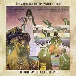 Joe & The Field Hippies Byrd American Metaphysical Circus Vinyl LP