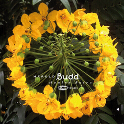 Harold Budd Avalon Sutra 3 VINYL LP BONUS TRACK LIMITED