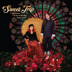 Sweet Trip Tiny House In Secret Speeches Polar Equals VINYL COVER B LP 7INCH BLACK ORANGE & RED LIMITED