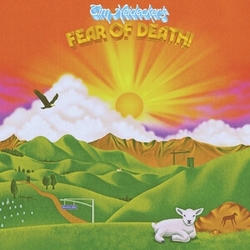 Tim Heidecker Fear Of Death VINYL LP