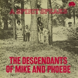 Bill Lee Descendants Of Mike & Phoebe - A Spirit Speaks DELUXE EDITION VINYL LP