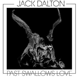 Jack Dalton Past Swallows Love VINYL LP