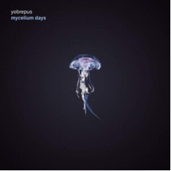 Yobrepus Mycelium Days