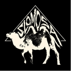 Slomosa Slomosa (Gold Vinyl) VINYL LP