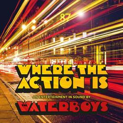 Waterboys Where The Action Is VINYL LP