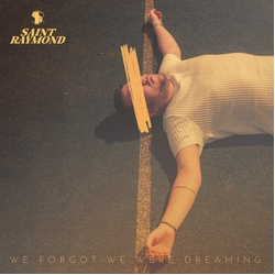 Saint Raymond We Forgot We Were Dreaming VINYL LP