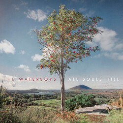 The Waterboys All Souls Hill VINYL LP