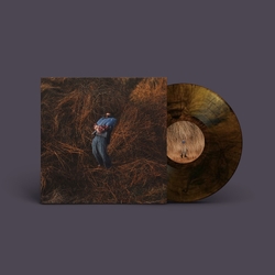 Jack Garratt Pillars LTD EDITION MARBLED HONEY VINYL LP