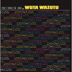 Ebo Jr & Wuta Wazutu Taylor Gotta Take It Cool Vinyl LP