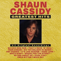 Shaun Cassidy Greatest Hits VINYL LP