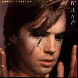 Shaun Cassidy Wasp VINYL LP