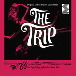 Electric Flag Trip DL CARD VINYL LP