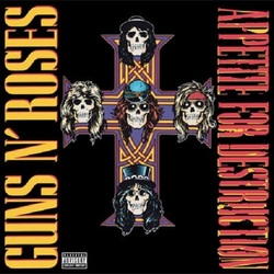 Guns N Roses Appetite For Destruction VINYL LP
