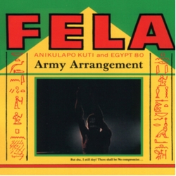 Fela Kuti Army Arrangement VINYL LP