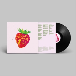 Blonde Redhead Sit Down For Dinner VINYL LP