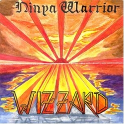 Wizzard Ninya Warrior Gçô The Anthology VINYL LP