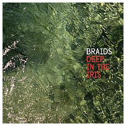 Braids Deep In The Iris