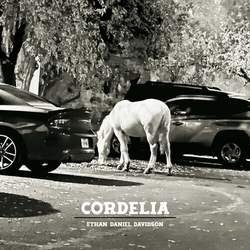 Ethan Daniel Davidson Cordelia VINYL LP