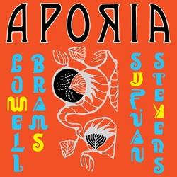 Sufjan & Lowell Brams Stevens Aporia VINYL LP