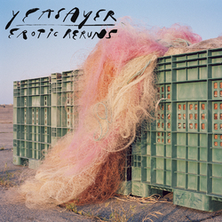 Yeasayer Erotic Reruns Vinyl LP