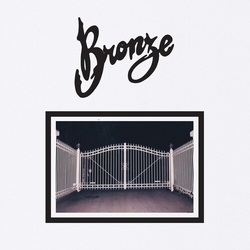 Bronze Absolute Compliance VINYL LP