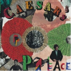 Caesars Youth Is Wasted On The Young FANZINE VINYL LP