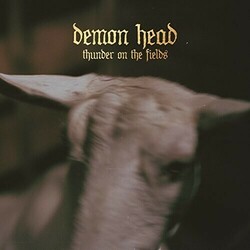 Demon Head Thunder On The Fields Vinyl LP