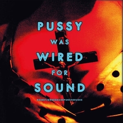 Robert & Punchdrunks Johnson Pussy Was Wired For Sound (Orange Vinyl Limited) VINYL LP