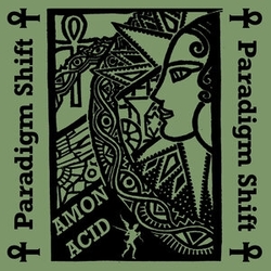 Amon Acid Paradigm Shift VINYL LP