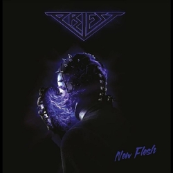 Priest New Flesh VINYL LP