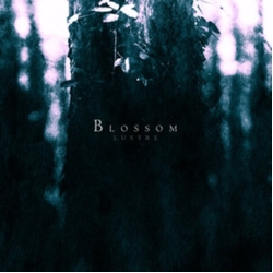 Lustre Blossom MULTI-COLOR VINYL LP