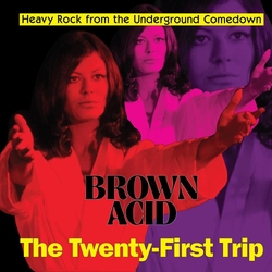 Various Artists Brown Acid - The Twenty-First Trip VINYL LP