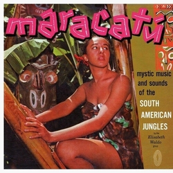 Elisabeth Waldo Maracatu VINYL LP