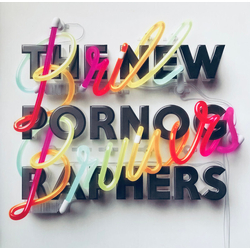 New Pornographers Brill Bruisers VINYL LP