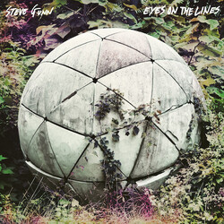 Steve Gunn Eyes On The Lines VINYL LP